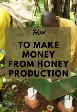 How to make money from honey production.